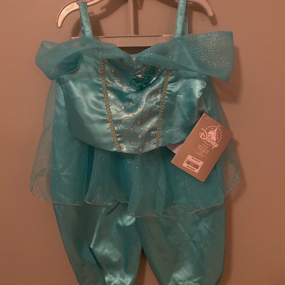 Disney Store princess jasmine costume